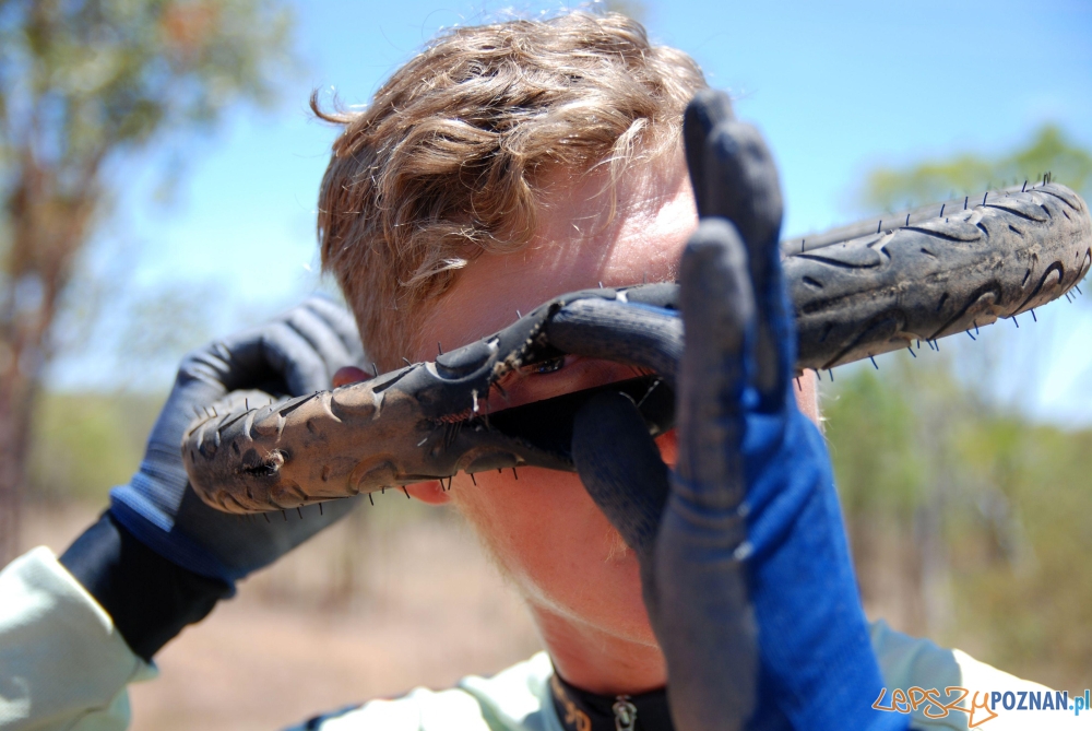 Przykra niespodzianka Foto: materiały all for planet Przykra niespodzianka Foto: materiały all for planet