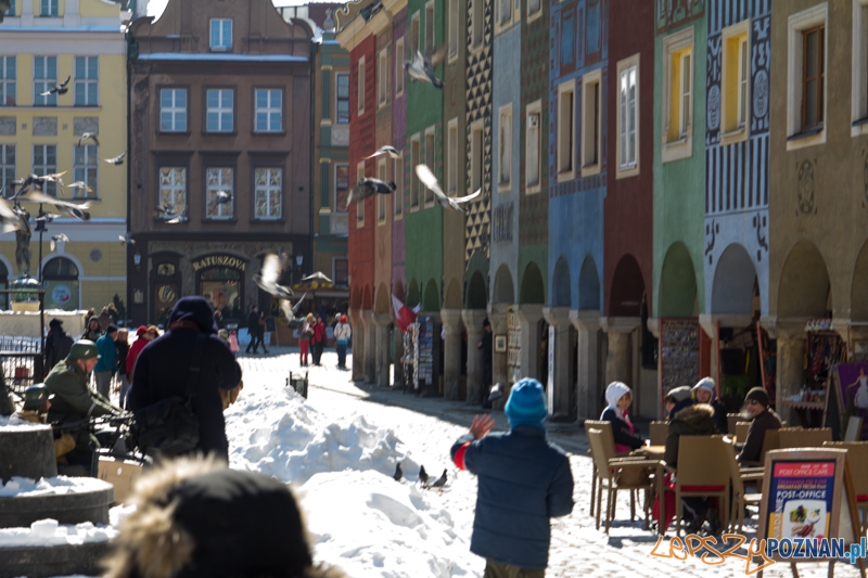 Gra miejska "Zakonspiruj Poznań" Foto: lepszyPOZNAN.pl / Piotr Rychter Gra miejska "Zakonspiruj Poznań" Foto: lepszyPOZNAN.pl / Piotr Rychter