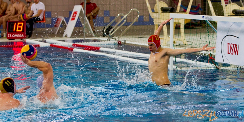 Alstal Waterpolo Poznań - Legia Warszawa 12:4 - Poznań 28.04.2013 r. Foto: LepszyPOZNAN.pl / Paweł Rychter Alstal Waterpolo Poznań - Legia Warszawa 12:4 - Poznań 28.04.2013 r. Foto: LepszyPOZNAN.pl / Paweł Rychter