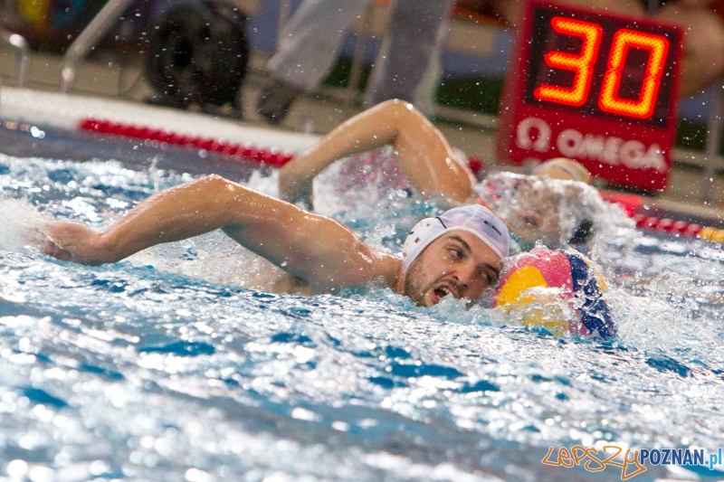 Alstal Waterpolo Poznań - Legia Warszawa 12:4 - Poznań 28.04.2013 r. Foto: LepszyPOZNAN.pl / Paweł Rychter Alstal Waterpolo Poznań - Legia Warszawa 12:4 - Poznań 28.04.2013 r. Foto: LepszyPOZNAN.pl / Paweł Rychter
