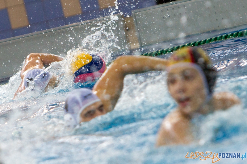 Alstal Waterpolo Poznań - Legia Warszawa 12:4 - Poznań 28.04.2013 r. Foto: LepszyPOZNAN.pl / Paweł Rychter Alstal Waterpolo Poznań - Legia Warszawa 12:4 - Poznań 28.04.2013 r. Foto: LepszyPOZNAN.pl / Paweł Rychter
