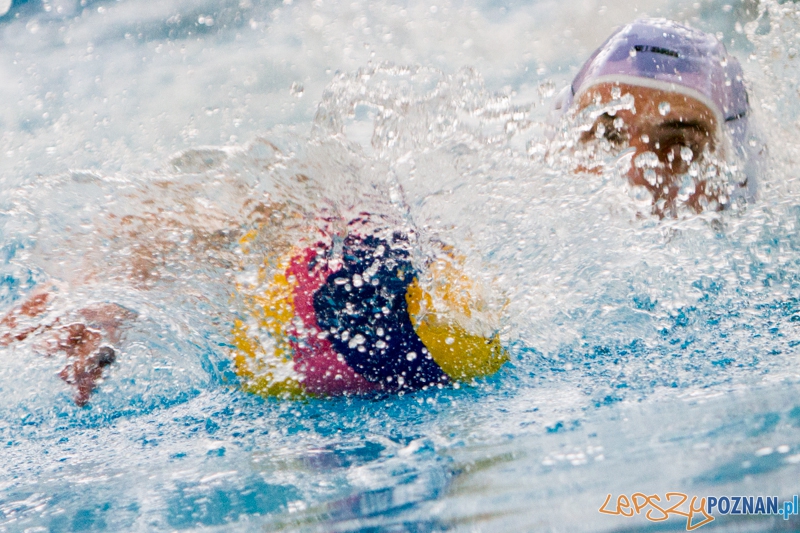 Alstal Waterpolo Poznań - Legia Warszawa 12:4 - Poznań 28.04.2013 r. Foto: LepszyPOZNAN.pl / Paweł Rychter Alstal Waterpolo Poznań - Legia Warszawa 12:4 - Poznań 28.04.2013 r. Foto: LepszyPOZNAN.pl / Paweł Rychter