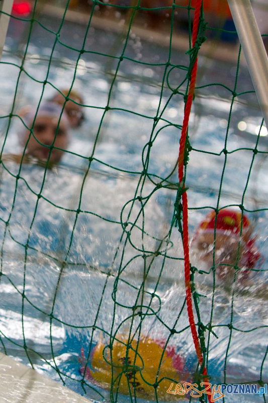 Alstal Waterpolo Poznań - Legia Warszawa 12:4 - Poznań 28.04.2013 r. Foto: LepszyPOZNAN.pl / Paweł Rychter Alstal Waterpolo Poznań - Legia Warszawa 12:4 - Poznań 28.04.2013 r. Foto: LepszyPOZNAN.pl / Paweł Rychter