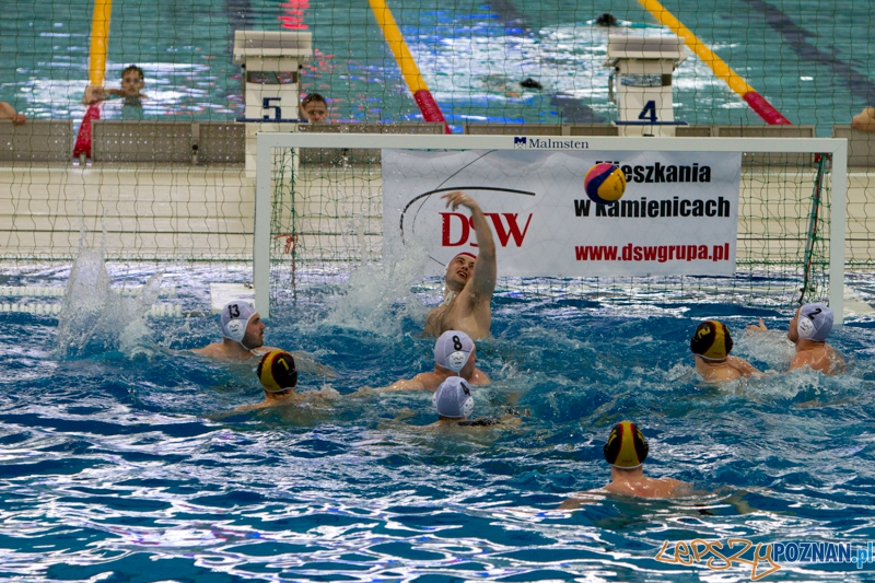 Alstal Waterpolo Poznań - Legia Warszawa 13:12 - Poznań 27.04.2013 r. Foto: LepszyPOZNAN.pl / Paweł Rychter Alstal Waterpolo Poznań - Legia Warszawa 13:12 - Poznań 27.04.2013 r. Foto: LepszyPOZNAN.pl / Paweł Rychter