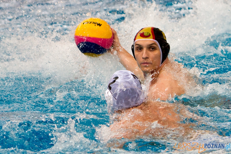 Alstal Waterpolo Poznań - Legia Warszawa 12:4 - Poznań 28.04.2013 r. Foto: LepszyPOZNAN.pl / Paweł Rychter Alstal Waterpolo Poznań - Legia Warszawa 12:4 - Poznań 28.04.2013 r. Foto: LepszyPOZNAN.pl / Paweł Rychter