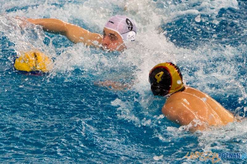 Alstal Waterpolo Poznań - Legia Warszawa 12:4 - Poznań 28.04.2013 r. Foto: LepszyPOZNAN.pl / Paweł Rychter Alstal Waterpolo Poznań - Legia Warszawa 12:4 - Poznań 28.04.2013 r. Foto: LepszyPOZNAN.pl / Paweł Rychter