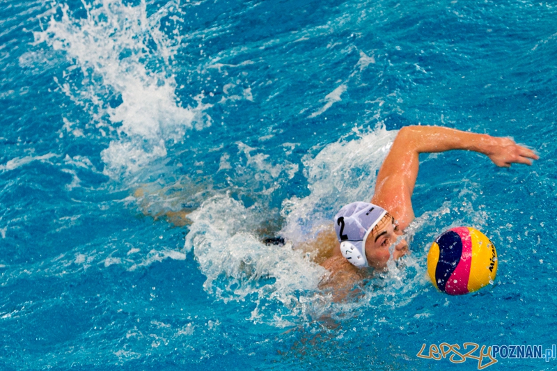 Alstal Waterpolo Poznań - Legia Warszawa 12:4 - Poznań 28.04.2013 r. Foto: LepszyPOZNAN.pl / Paweł Rychter Alstal Waterpolo Poznań - Legia Warszawa 12:4 - Poznań 28.04.2013 r. Foto: LepszyPOZNAN.pl / Paweł Rychter