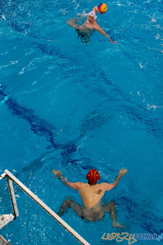 Alstal Waterpolo Poznań - Legia Warszawa 12:4 - Poznań 28.04.2013 r. Foto: LepszyPOZNAN.pl / Paweł Rychter Alstal Waterpolo Poznań - Legia Warszawa 12:4 - Poznań 28.04.2013 r. Foto: LepszyPOZNAN.pl / Paweł Rychter