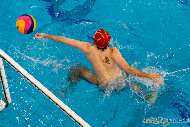 Alstal Waterpolo Poznań - Legia Warszawa 12:4 - Poznań 28.04.2013 r. Foto: LepszyPOZNAN.pl / Paweł Rychter Alstal Waterpolo Poznań - Legia Warszawa 12:4 - Poznań 28.04.2013 r. Foto: LepszyPOZNAN.pl / Paweł Rychter