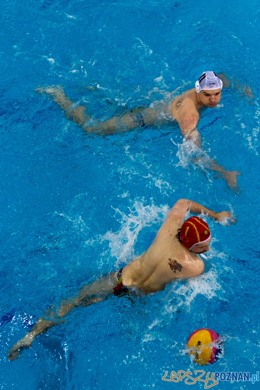 Alstal Waterpolo Poznań - Legia Warszawa 12:4 - Poznań 28.04.2013 r. Foto: LepszyPOZNAN.pl / Paweł Rychter Alstal Waterpolo Poznań - Legia Warszawa 12:4 - Poznań 28.04.2013 r. Foto: LepszyPOZNAN.pl / Paweł Rychter