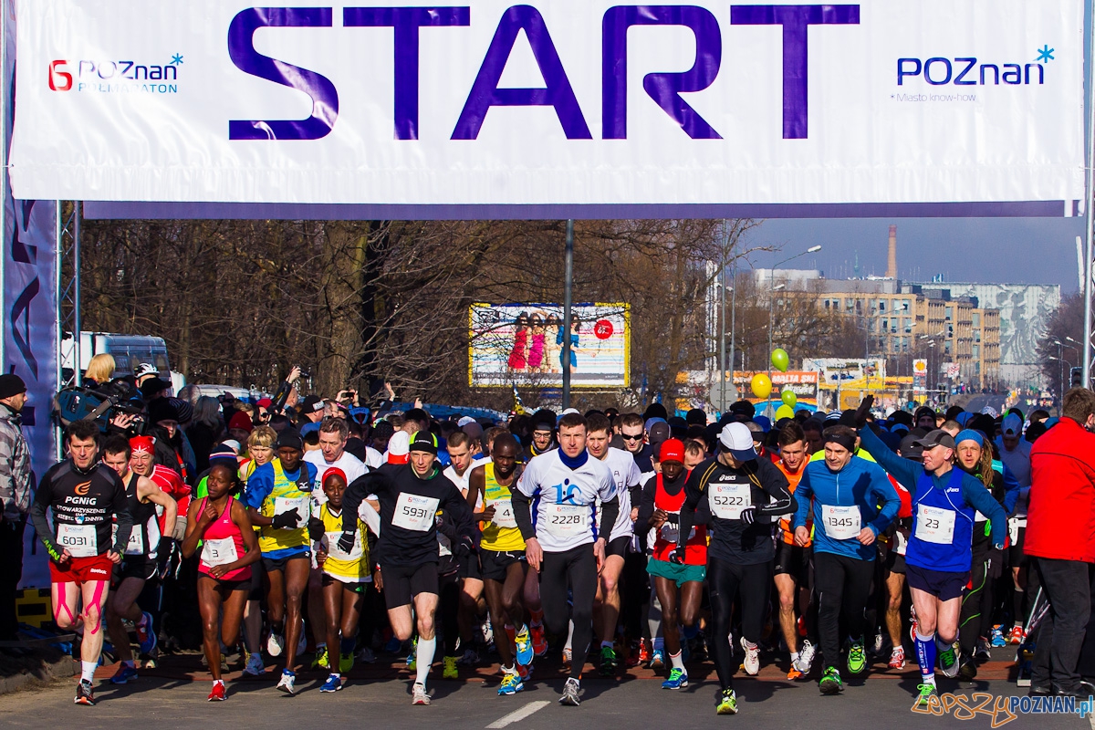 6 Pólmaraton - Start! Foto: Marek Zakrzewski 6 Pólmaraton - Start! Foto: Marek Zakrzewski