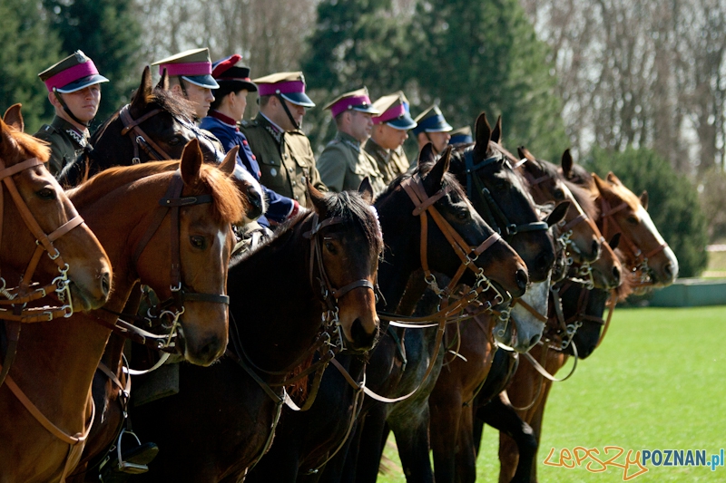 Rodzinny Festyn Kawaleryjski na Cytadeli - Dni Ułana Foto: lepszyPOZNAN.pl / Ewelina Gutowska Rodzinny Festyn Kawaleryjski na Cytadeli - Dni Ułana Foto: lepszyPOZNAN.pl / Ewelina Gutowska