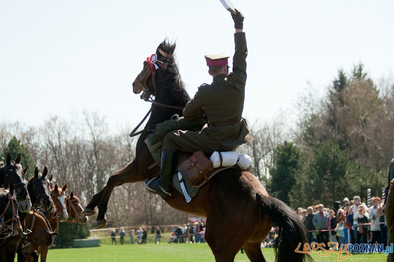 Rodzinny Festyn Kawaleryjski na Cytadeli - Dni Ułana Foto: lepszyPOZNAN.pl / Ewelina Gutowska Rodzinny Festyn Kawaleryjski na Cytadeli - Dni Ułana Foto: lepszyPOZNAN.pl / Ewelina Gutowska