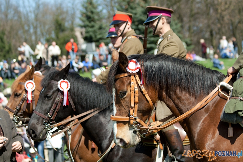Rodzinny Festyn Kawaleryjski na Cytadeli - Dni Ułana Foto: lepszyPOZNAN.pl / Ewelina Gutowska Rodzinny Festyn Kawaleryjski na Cytadeli - Dni Ułana Foto: lepszyPOZNAN.pl / Ewelina Gutowska