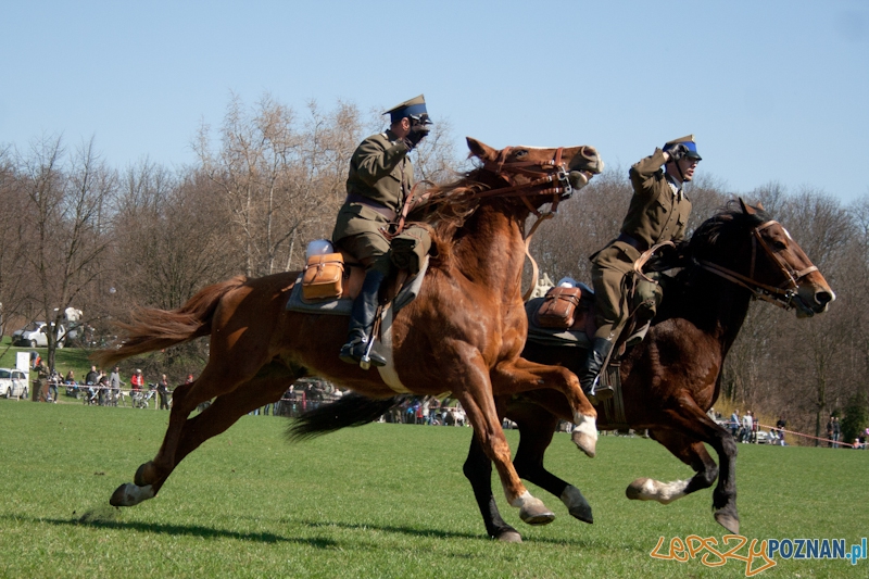 Rodzinny Festyn Kawaleryjski na Cytadeli - Dni Ułana  Foto: lepszyPOZNAN.pl / Ewelina Gutowska
