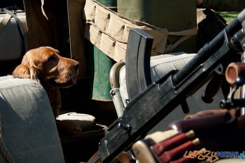 Rodzinny Festyn Kawaleryjski na Cytadeli - Dni Ułana Foto: lepszyPOZNAN.pl / Ewelina Gutowska Rodzinny Festyn Kawaleryjski na Cytadeli - Dni Ułana Foto: lepszyPOZNAN.pl / Ewelina Gutowska