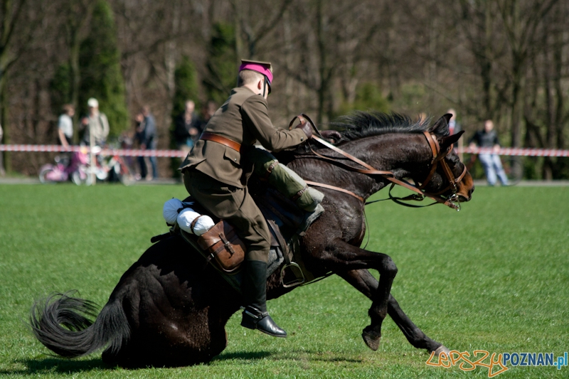 Rodzinny Festyn Kawaleryjski na Cytadeli - Dni Ułana Foto: lepszyPOZNAN.pl / Ewelina Gutowska Rodzinny Festyn Kawaleryjski na Cytadeli - Dni Ułana Foto: lepszyPOZNAN.pl / Ewelina Gutowska