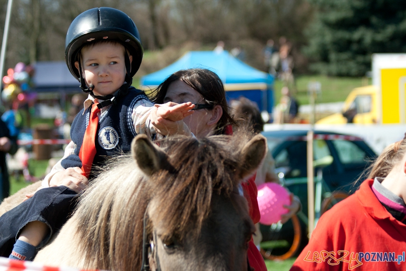Rodzinny Festyn Kawaleryjski na Cytadeli - Dni Ułana Foto: lepszyPOZNAN.pl / Ewelina Gutowska Rodzinny Festyn Kawaleryjski na Cytadeli - Dni Ułana Foto: lepszyPOZNAN.pl / Ewelina Gutowska