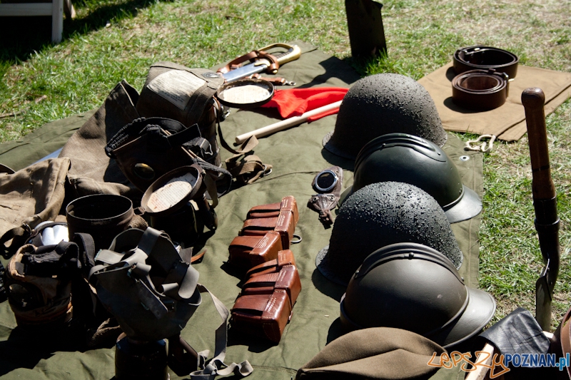 Rodzinny Festyn Kawaleryjski na Cytadeli - Dni Ułana Foto: lepszyPOZNAN.pl / Ewelina Gutowska Rodzinny Festyn Kawaleryjski na Cytadeli - Dni Ułana Foto: lepszyPOZNAN.pl / Ewelina Gutowska