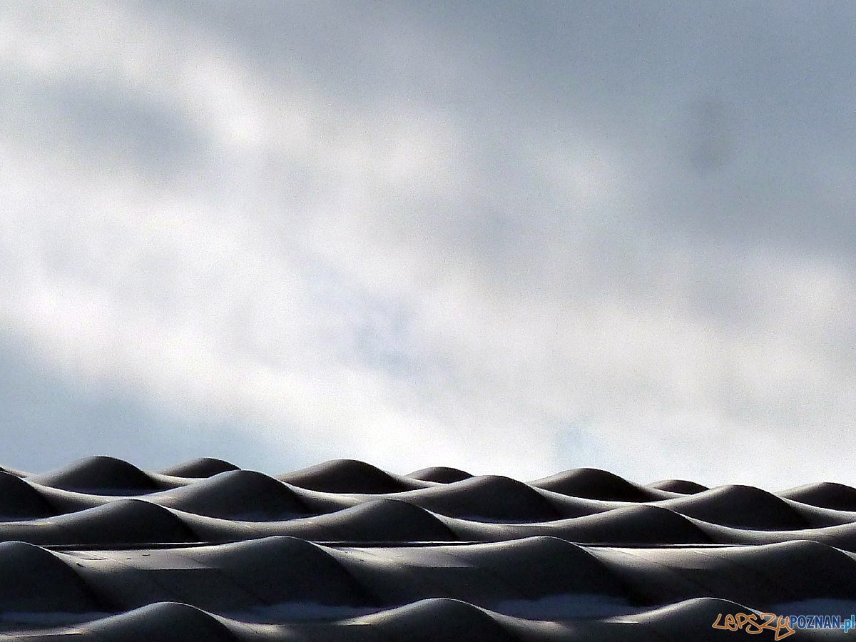 Stadion Miejski w Poznaniu Foto: Maciej Koterba Stadion Miejski w Poznaniu Foto: Maciej Koterba