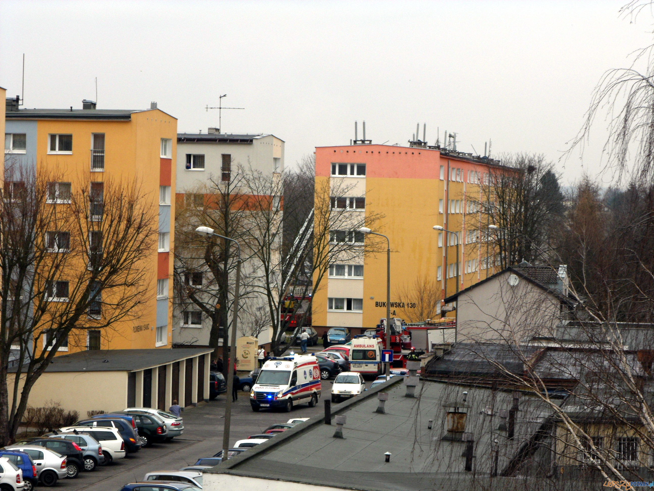 Pożar na Bukowskiej Foto: Janusz Pożar na Bukowskiej Foto: Janusz