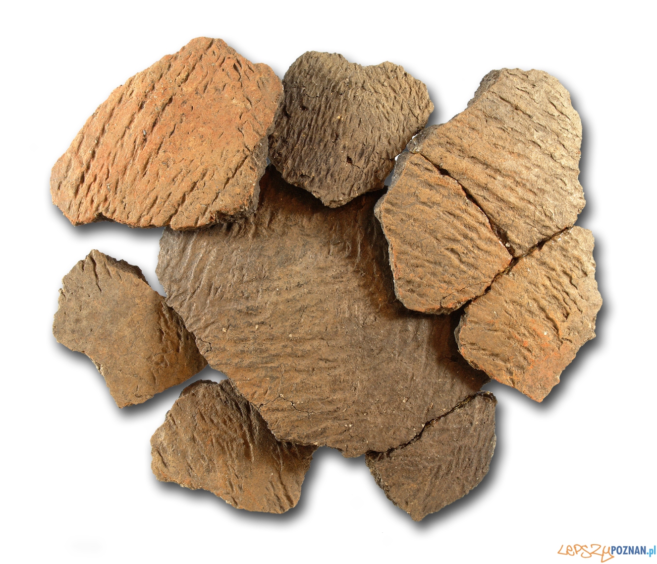 Ceramika tekstylna z wczesnobrązowej osady w Bruszczewie na nowo odkrywana  Foto: Patrycja Silska