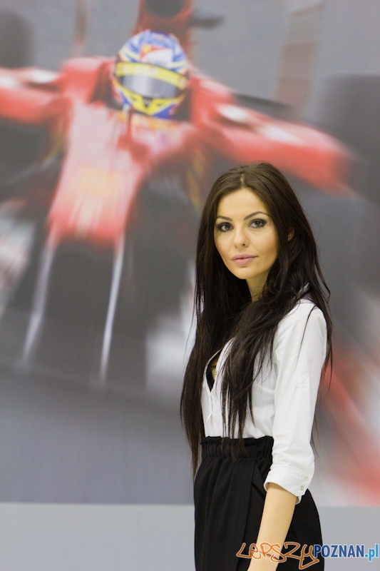 Poznań Motor Show 2013 Foto: lepszyPOZNAN.pl / Piotr Rychter Poznań Motor Show 2013 Foto: lepszyPOZNAN.pl / Piotr Rychter