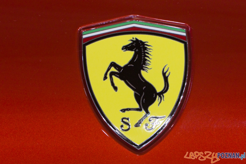 Poznań Motor Show 2013 Foto: lepszyPOZNAN.pl / Piotr Rychter Poznań Motor Show 2013 Foto: lepszyPOZNAN.pl / Piotr Rychter