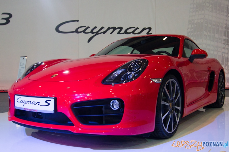 Poznań Motor Show 2013 Foto: lepszyPOZNAN.pl / Piotr Rychter Poznań Motor Show 2013 Foto: lepszyPOZNAN.pl / Piotr Rychter