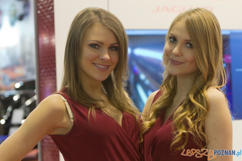 Poznań Motor Show 2013 Foto: lepszyPOZNAN.pl / Piotr Rychter Poznań Motor Show 2013 Foto: lepszyPOZNAN.pl / Piotr Rychter