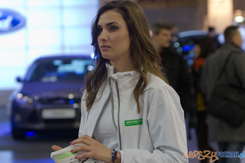 Poznań Motor Show 2013 Foto: lepszyPOZNAN.pl / Piotr Rychter Poznań Motor Show 2013 Foto: lepszyPOZNAN.pl / Piotr Rychter