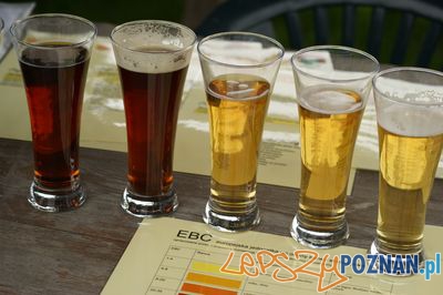 Festiwal Piwa w Muzeum Rolnictwa w Szreniawie  Foto: Muzeum Narodowe Rolnictwa i Przemysłu Rolno-Spożywczego w Szreniawie