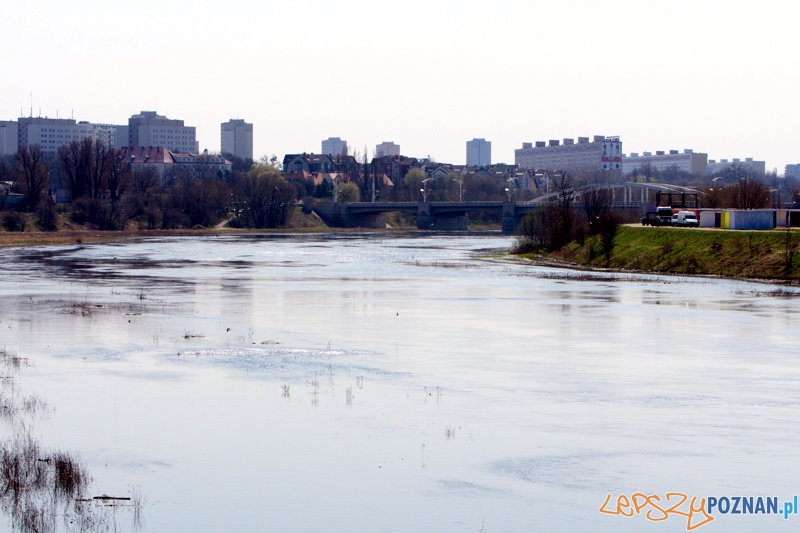 Przybywa wody w Warcie - 22.04.2013 Foto: lepszyPOZNAN.pl / Piotr Rychter Przybywa wody w Warcie - 22.04.2013 Foto: lepszyPOZNAN.pl / Piotr Rychter