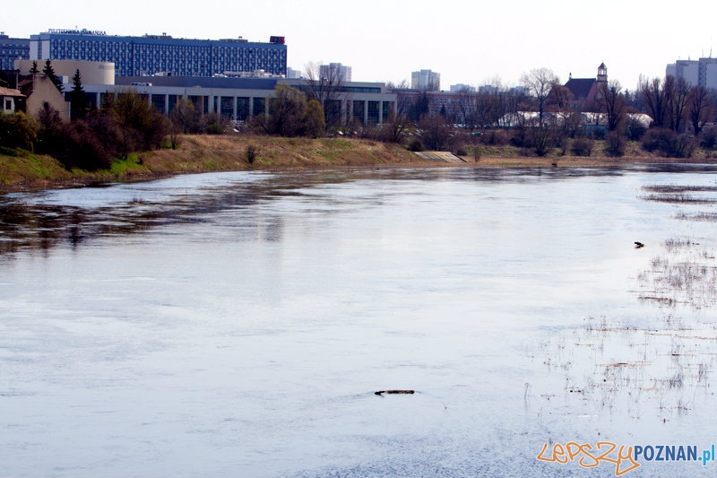 Przybywa wody w Warcie - 22.04.2013 Foto: lepszyPOZNAN.pl / Piotr Rychter Przybywa wody w Warcie - 22.04.2013 Foto: lepszyPOZNAN.pl / Piotr Rychter