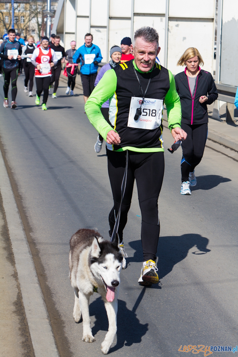 6. Poznań półmaraton - 7.04.2013 r. Foto: lepszyPOZNAN.pl / Piotr Rychter 6. Poznań półmaraton - 7.04.2013 r. Foto: lepszyPOZNAN.pl / Piotr Rychter