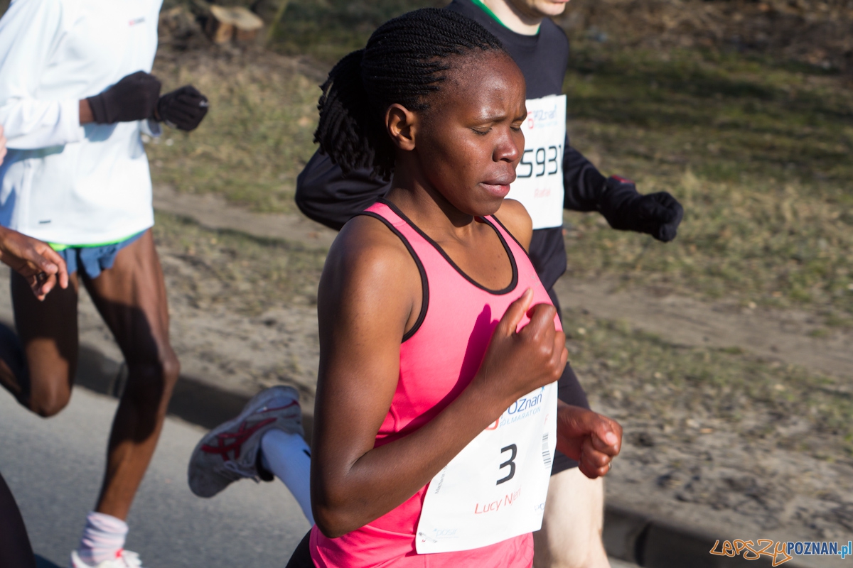6. Poznań półmaraton - 7.04.2013 r. Foto: lepszyPOZNAN.pl / Piotr Rychter 6. Poznań półmaraton - 7.04.2013 r. Foto: lepszyPOZNAN.pl / Piotr Rychter