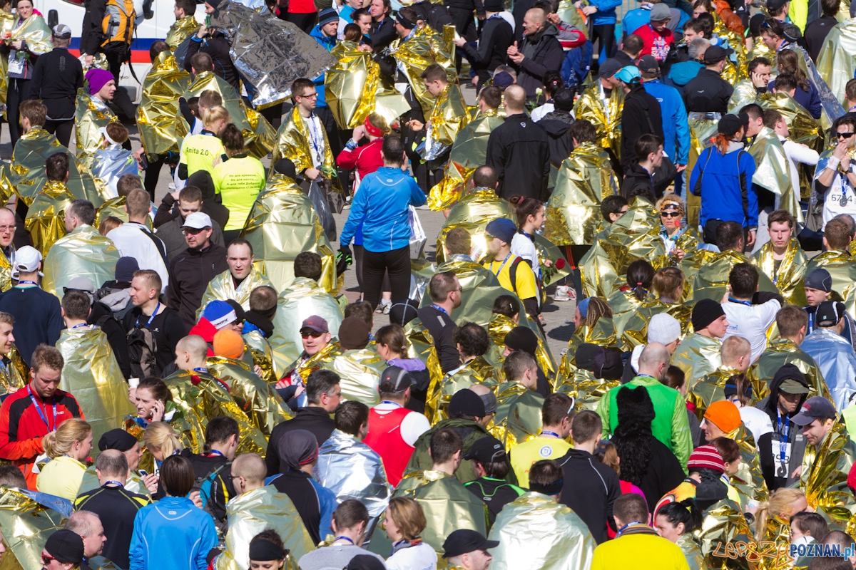 6. Poznań półmaraton - 7.04.2013 r. Foto: lepszyPOZNAN.pl / Piotr Rychter 6. Poznań półmaraton - 7.04.2013 r. Foto: lepszyPOZNAN.pl / Piotr Rychter