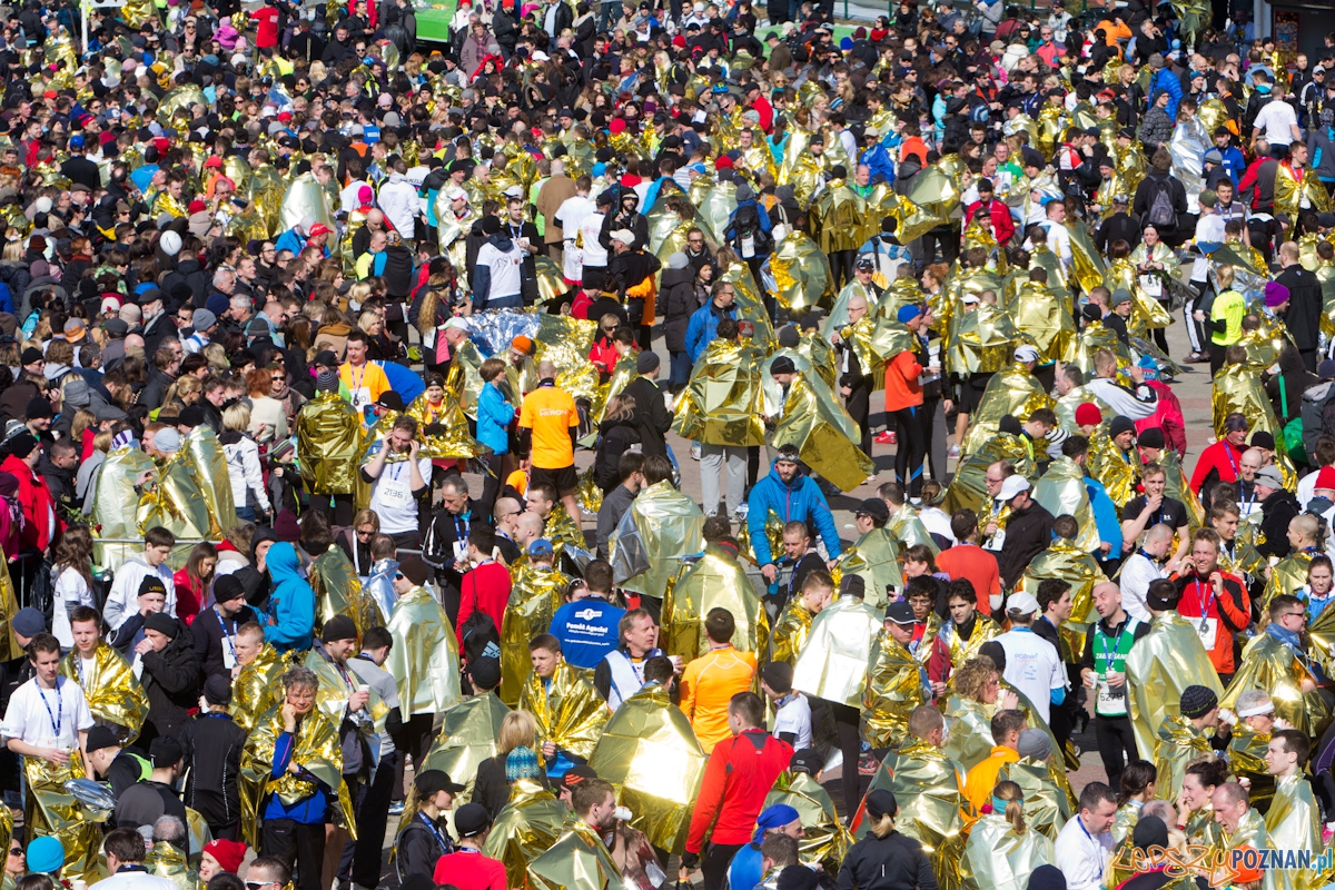 6. Poznań półmaraton - 7.04.2013 r. Foto: lepszyPOZNAN.pl / Piotr Rychter 6. Poznań półmaraton - 7.04.2013 r. Foto: lepszyPOZNAN.pl / Piotr Rychter