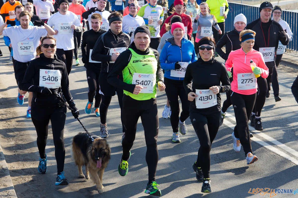 6. Poznań półmaraton - 7.04.2013 r. Foto: lepszyPOZNAN.pl / Piotr Rychter 6. Poznań półmaraton - 7.04.2013 r. Foto: lepszyPOZNAN.pl / Piotr Rychter