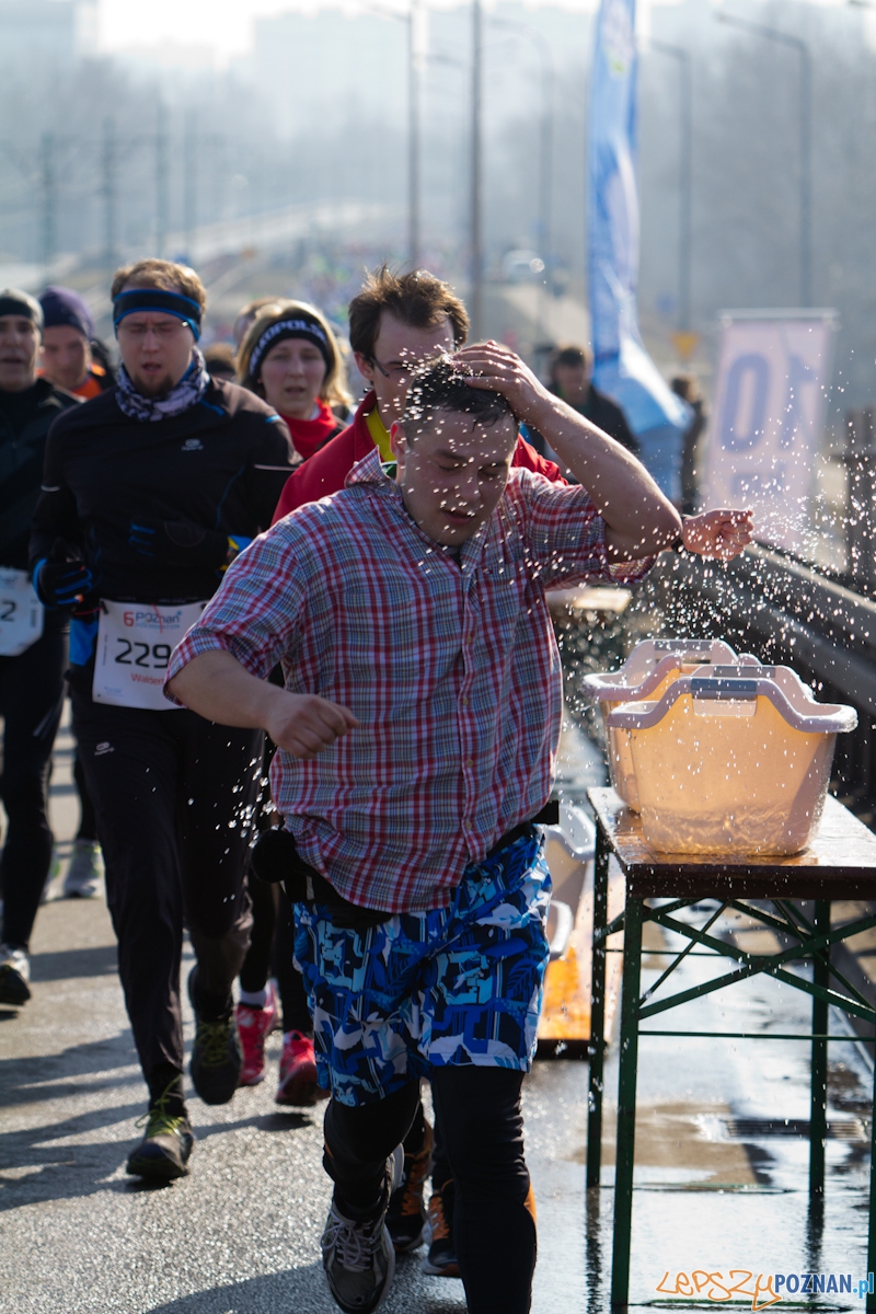 6. Poznań półmaraton - 7.04.2013 r. Foto: lepszyPOZNAN.pl / Piotr Rychter 6. Poznań półmaraton - 7.04.2013 r. Foto: lepszyPOZNAN.pl / Piotr Rychter