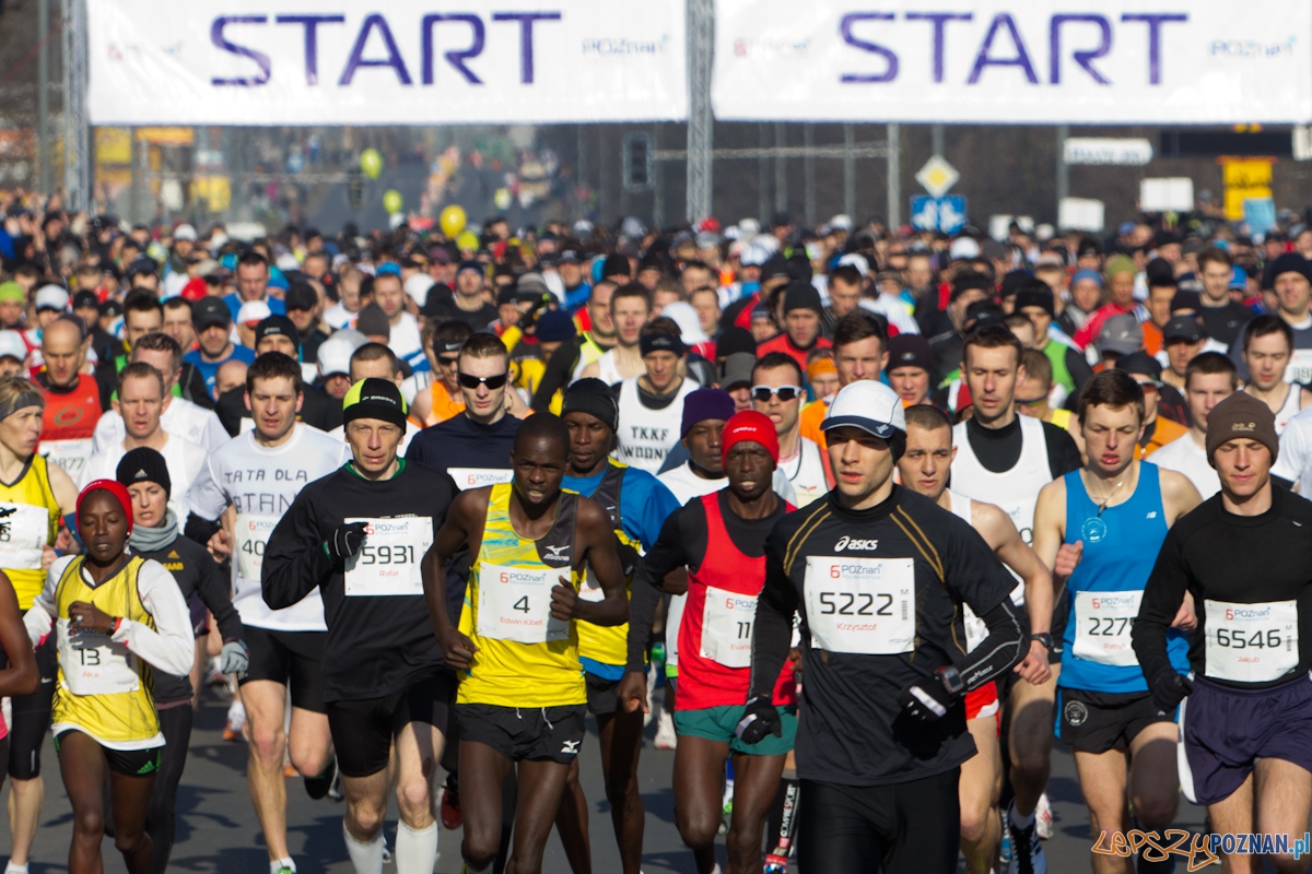 6. Poznań półmaraton - 7.04.2013 r. Foto: lepszyPOZNAN.pl / Piotr Rychter 6. Poznań półmaraton - 7.04.2013 r. Foto: lepszyPOZNAN.pl / Piotr Rychter