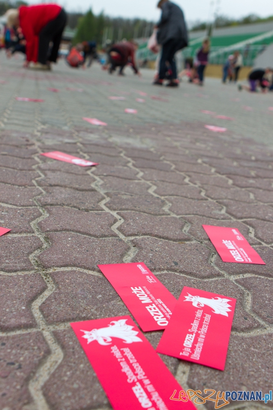 Akcja Orzeł Może - Poznań 02.05.2013 r. Foto: LepszyPOZNAN.pl / Paweł Rychter Akcja Orzeł Może - Poznań 02.05.2013 r. Foto: LepszyPOZNAN.pl / Paweł Rychter