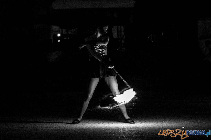 Artenalia Fire Show - Poznań 12.05.2013 r. Foto: LepszyPOZNAN.pl / Paweł Rychter Artenalia Fire Show - Poznań 12.05.2013 r. Foto: LepszyPOZNAN.pl / Paweł Rychter