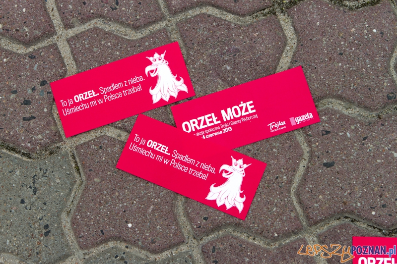 Akcja Orzeł Może - Poznań 02.05.2013 r. Foto: LepszyPOZNAN.pl / Paweł Rychter Akcja Orzeł Może - Poznań 02.05.2013 r. Foto: LepszyPOZNAN.pl / Paweł Rychter