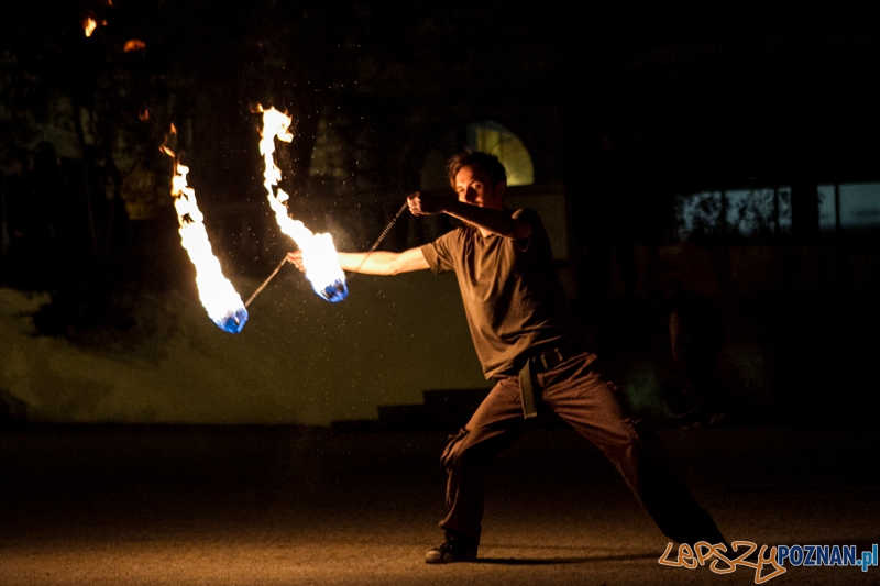 Artenalia Fire Show - Poznań 12.05.2013 r. Foto: LepszyPOZNAN.pl / Paweł Rychter Artenalia Fire Show - Poznań 12.05.2013 r. Foto: LepszyPOZNAN.pl / Paweł Rychter