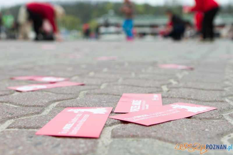 Akcja Orzeł Może - Poznań 02.05.2013 r. Foto: LepszyPOZNAN.pl / Paweł Rychter Akcja Orzeł Może - Poznań 02.05.2013 r. Foto: LepszyPOZNAN.pl / Paweł Rychter