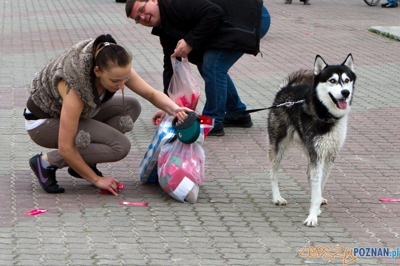 Akcja Orzeł Może - Poznań 02.05.2013 r. Foto: LepszyPOZNAN.pl / Paweł Rychter Akcja Orzeł Może - Poznań 02.05.2013 r. Foto: LepszyPOZNAN.pl / Paweł Rychter