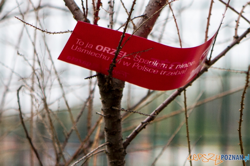 Akcja Orzeł Może - Poznań 02.05.2013 r. Foto: LepszyPOZNAN.pl / Paweł Rychter Akcja Orzeł Może - Poznań 02.05.2013 r. Foto: LepszyPOZNAN.pl / Paweł Rychter