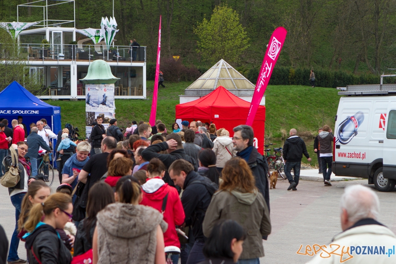 Akcja Orzeł Może - Poznań 02.05.2013 r. Foto: LepszyPOZNAN.pl / Paweł Rychter Akcja Orzeł Może - Poznań 02.05.2013 r. Foto: LepszyPOZNAN.pl / Paweł Rychter