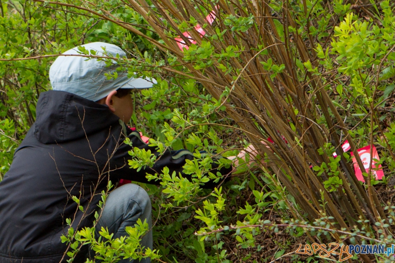 Akcja Orzeł Może - Poznań 02.05.2013 r. Foto: LepszyPOZNAN.pl / Paweł Rychter Akcja Orzeł Może - Poznań 02.05.2013 r. Foto: LepszyPOZNAN.pl / Paweł Rychter
